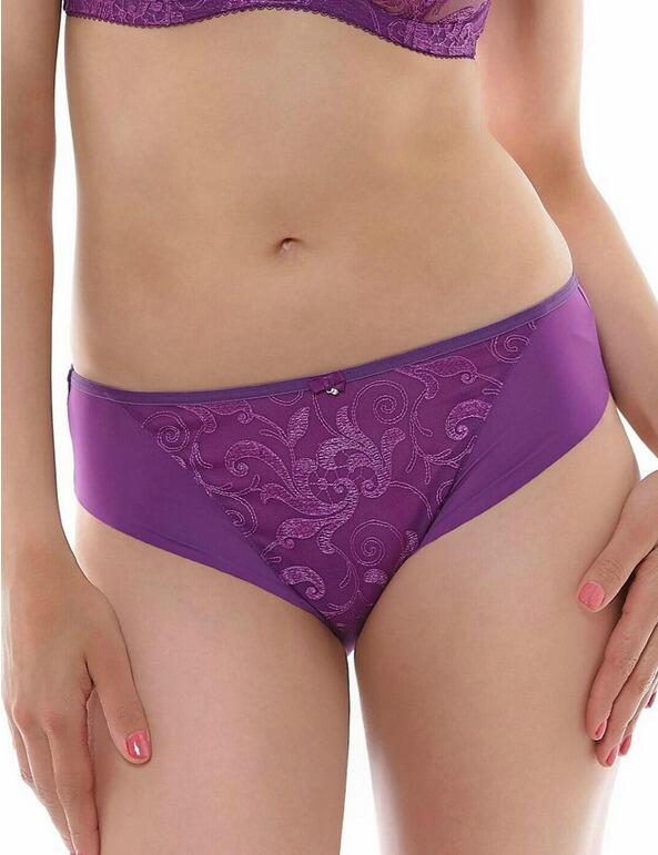 Fantasie Allegra Brief 9095 Knickers Purple  - Purple 