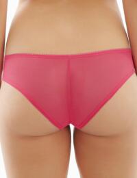 Cleo by Panache Lingerie Piper 9352 Brief Knickers - Sherbet