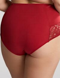 Knickers Briefs Womens Underwear Sculptresse by Panache Estel High Waisted Brief 9684 Raspberry