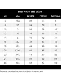 Bikini Brief Panache Nina Split Side Bikini Brief 1068 Swimwear Auber Multi - Auber Multi